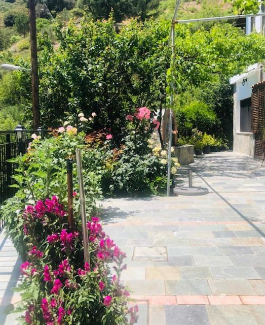 فيلا Galaria House Moutoullas المظهر الخارجي الصورة